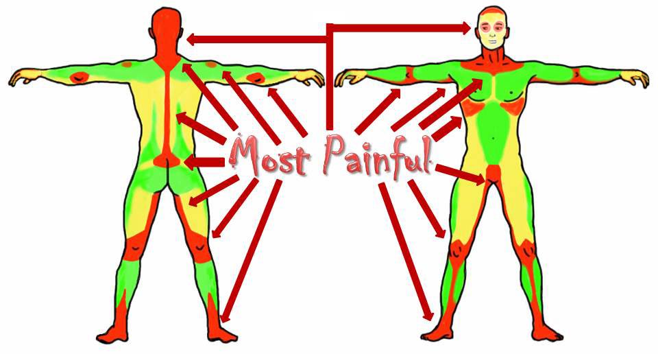 Men's Anatomical Tattoo Pain Chart